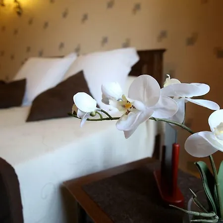 Oda ve Kahvaltı Le Robinson